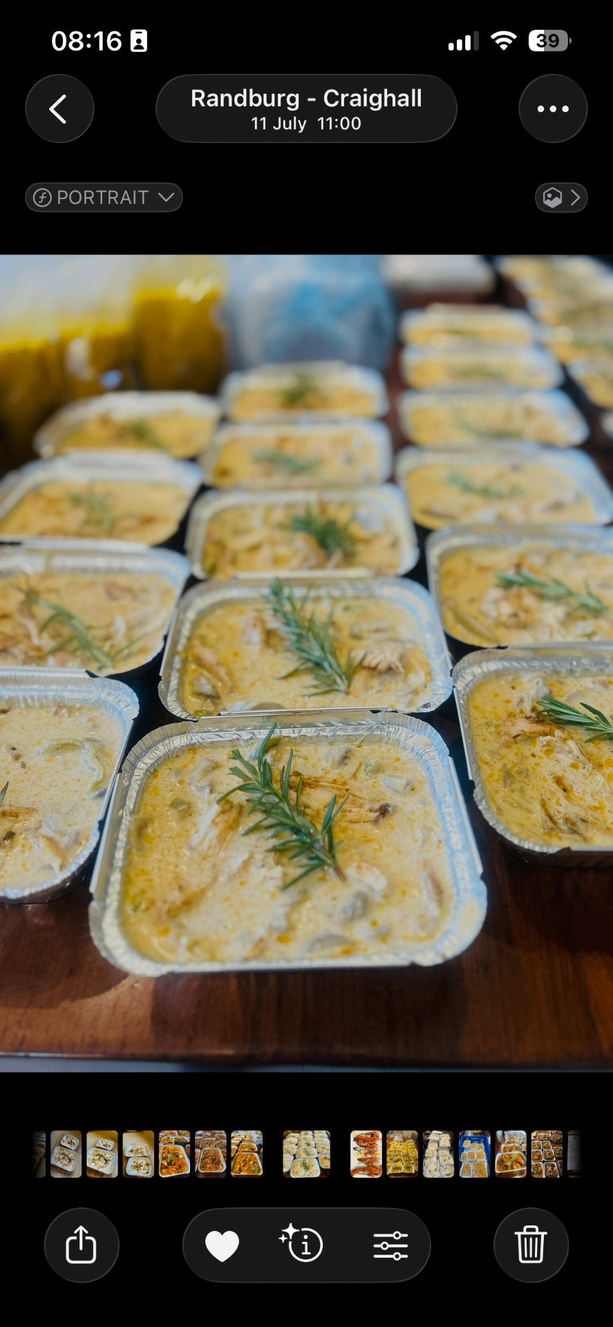 Creamy chicken portions with fresh rosemary in trays