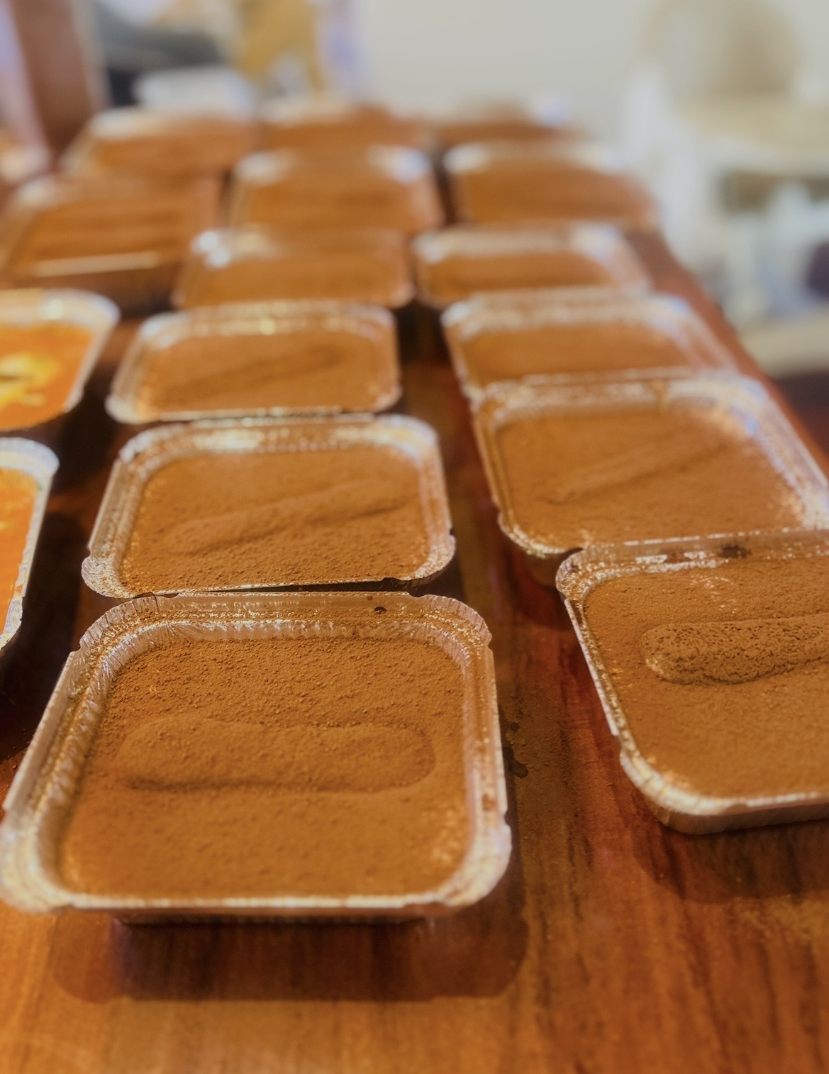 Individual tiramisu portions dusted with cocoa